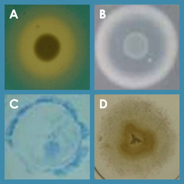 SFB900_A02_Abbildung-04