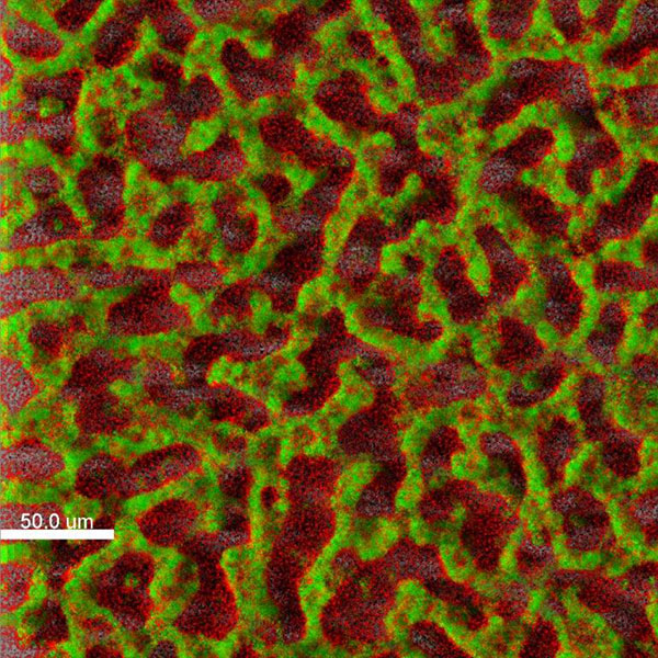 SFB900_A03_Abbildung-01