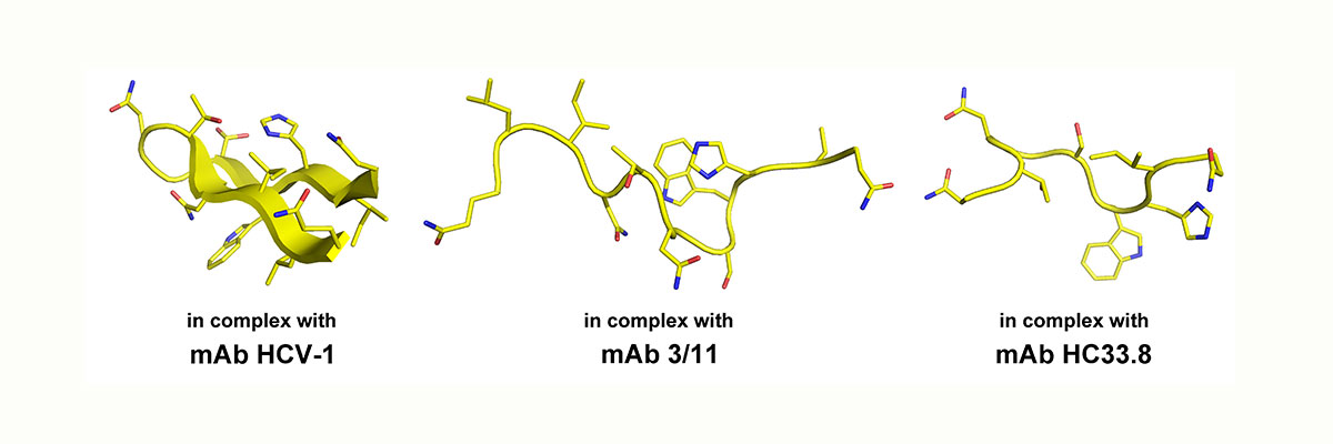 SFB900_B10_Abbildung-02
