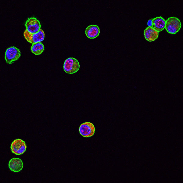 SFB900_C06_Abbildung-02