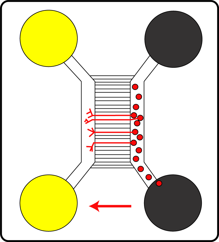 Chamber